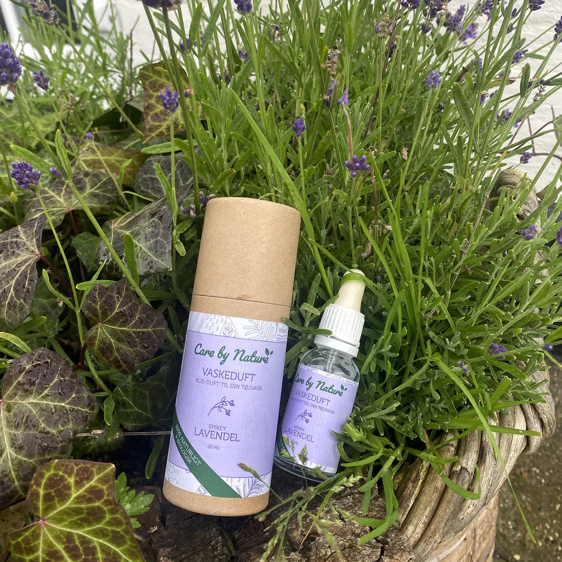 unique-id-896cb057-1645-48cd-b7c6-aa7b9e812e14